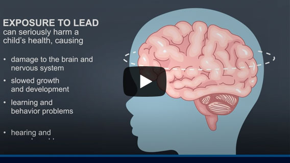 Illustration of a brain with text about lead exposure harming childrens health.